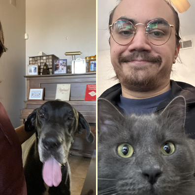 Pet Picture